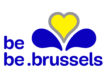 region brussels logo aaxe titres services