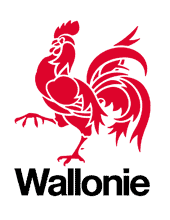 région wallonie logo aaxe titres services
